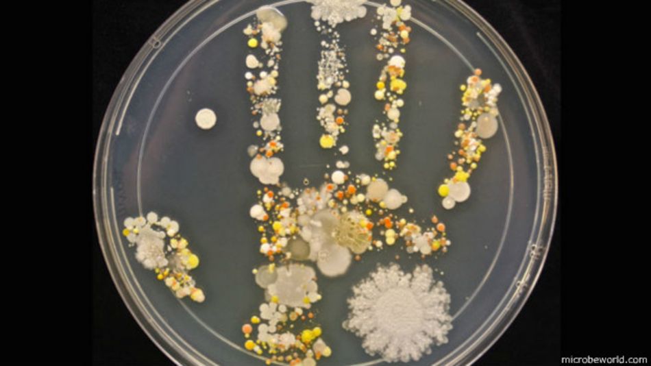 ciencia_bacterias_manos